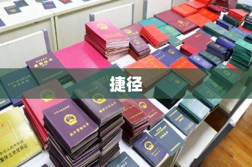 蒸湘捷径
