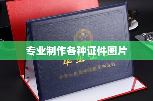蒸湘专业制作各种证件图片