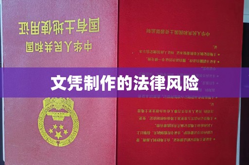 蒸湘文凭制作的法律风险