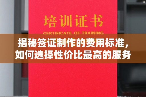 蒸湘揭秘签证制作的费用标准，如何选择性价比最高的服务？