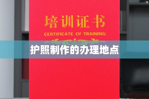 蒸湘护照制作的办理地点