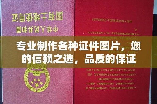 蒸湘专业制作各种证件图片，您的信赖之选，品质的保证