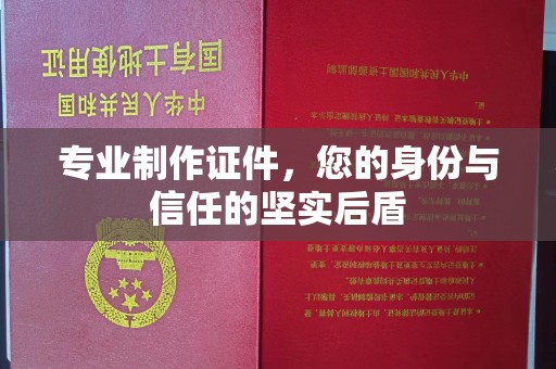 蒸湘专业制作证件，您的身份与信任的坚实后盾