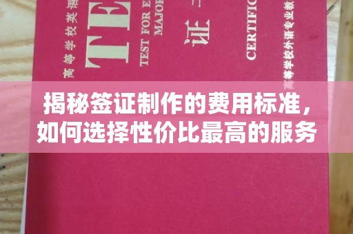蒸湘揭秘签证制作的费用标准，如何选择性价比最高的服务？