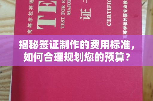 蒸湘揭秘签证制作的费用标准，如何合理规划您的预算？