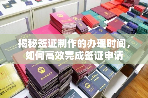 蒸湘揭秘签证制作的办理时间，如何高效完成签证申请