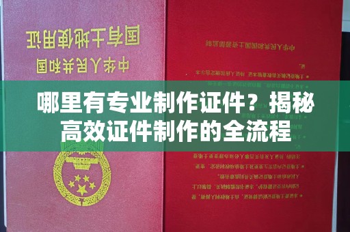 蒸湘哪里有专业制作证件？揭秘高效证件制作的全流程