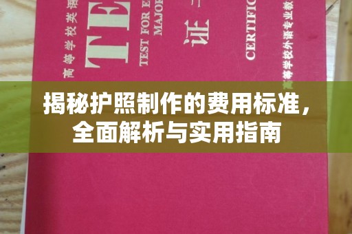 蒸湘揭秘护照制作的费用标准，全面解析与实用指南