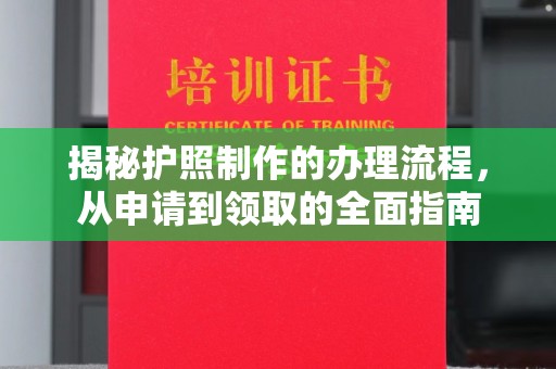 蒸湘揭秘护照制作的办理流程，从申请到领取的全面指南