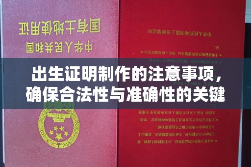 蒸湘出生证明制作的注意事项，确保合法性与准确性的关键步骤