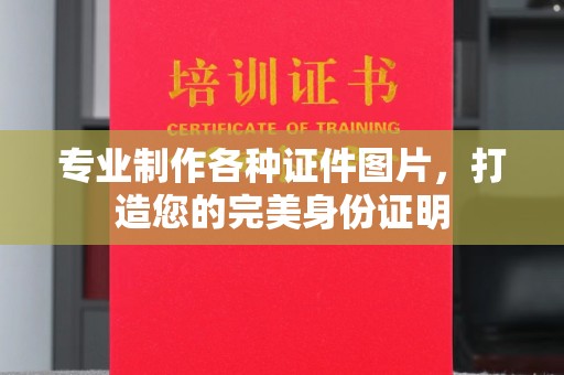 蒸湘专业制作各种证件图片，打造您的完美身份证明