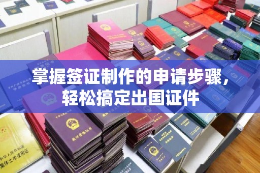 蒸湘掌握签证制作的申请步骤，轻松搞定出国证件