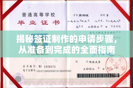 蒸湘揭秘签证制作的申请步骤，从准备到完成的全面指南