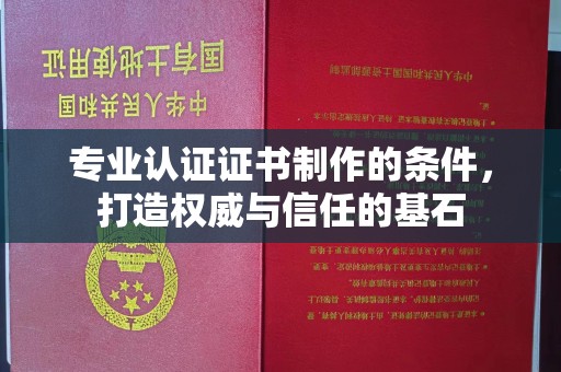 蒸湘专业认证证书制作的条件，打造权威与信任的基石