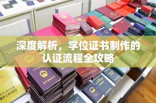 蒸湘深度解析，学位证书制作的认证流程全攻略