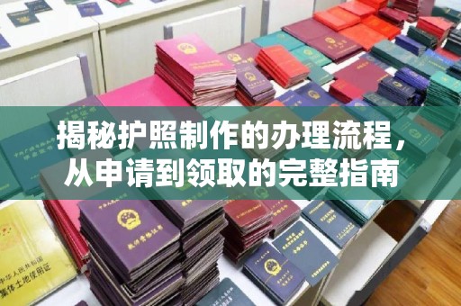 蒸湘揭秘护照制作的办理流程，从申请到领取的完整指南