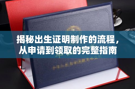 蒸湘揭秘出生证明制作的流程，从申请到领取的完整指南