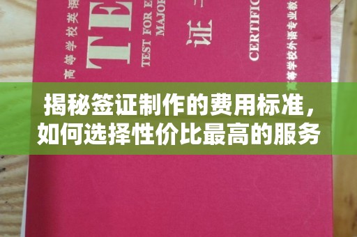 蒸湘揭秘签证制作的费用标准，如何选择性价比最高的服务？