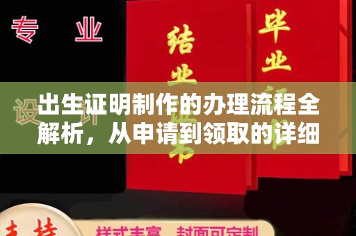 蒸湘出生证明制作的办理流程全解析，从申请到领取的详细指南