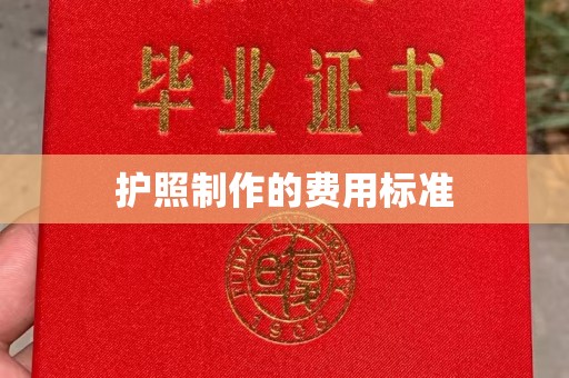 蒸湘护照制作的费用标准