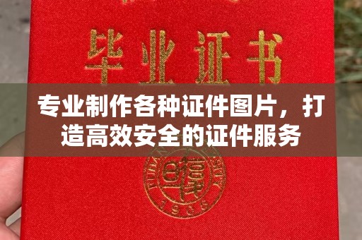 蒸湘专业制作各种证件图片，打造高效安全的证件服务