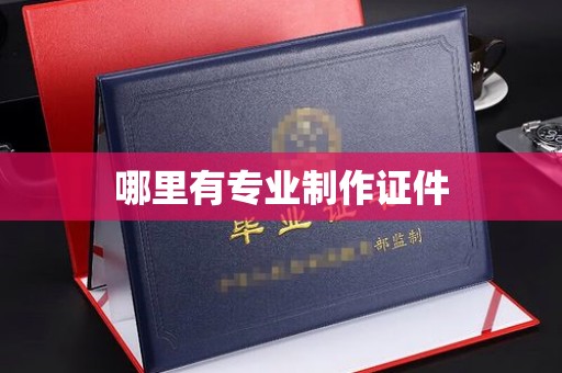 蒸湘哪里有专业制作证件