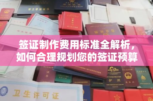 蒸湘签证制作费用标准全解析，如何合理规划您的签证预算？