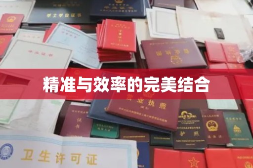 蒸湘精准与效率的完美结合